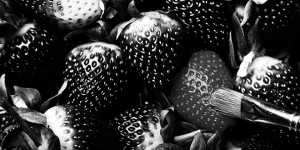 Lunares - Marketing Experiencial